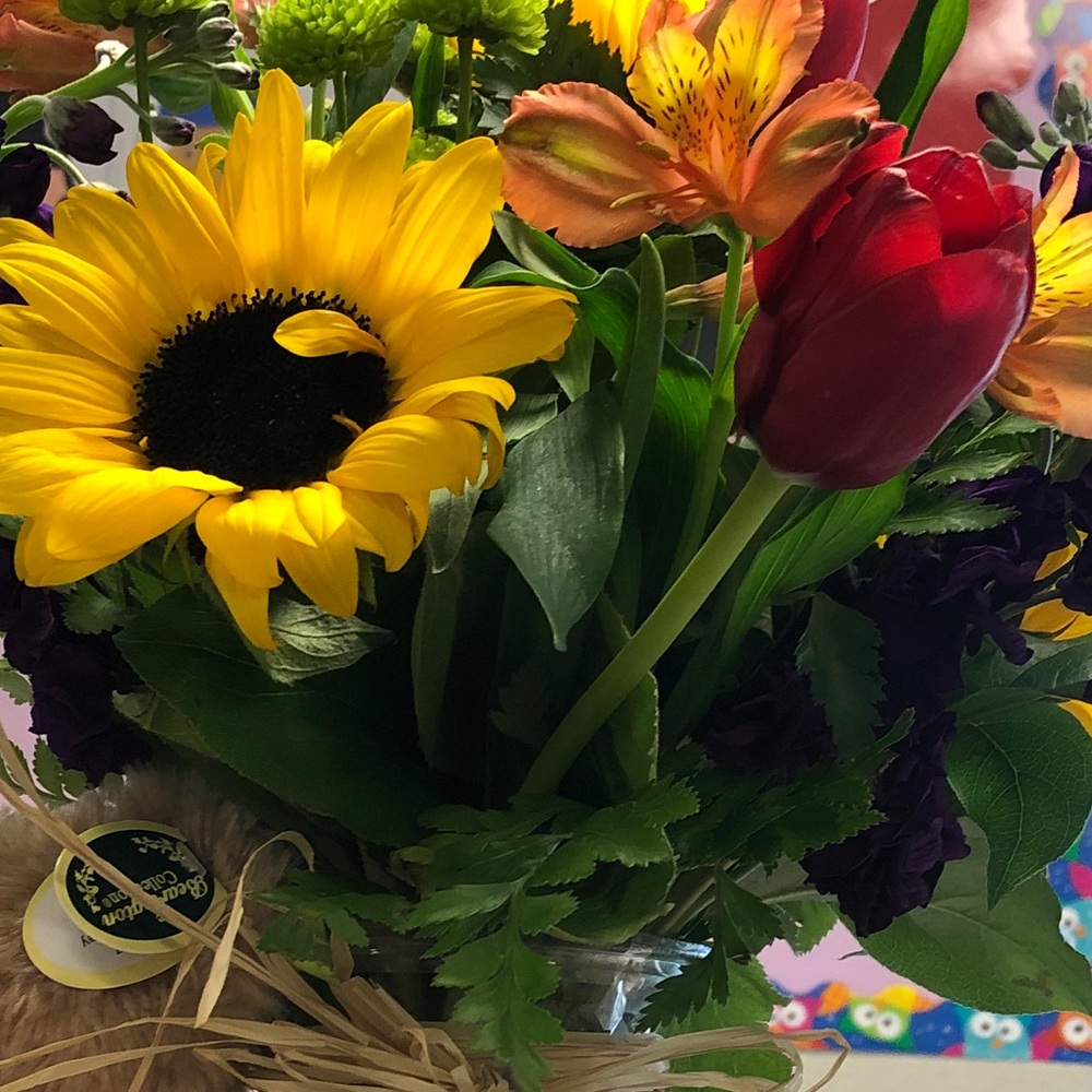 Meet your Posher, Raynette